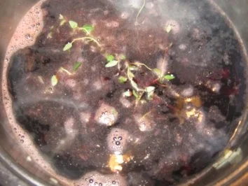 Rezept: Balsamicosoße mit Feigen Bild Nr. 3 Balsamicosoße mit Feigen - Rezept - Bild Nr. 3