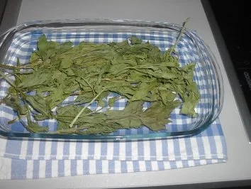 Kräuter für den Winter - Rezept - Bild Nr. 2