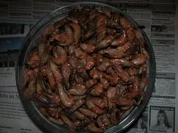 Rezept: Mien Krabbensalat Mien Krabbensalat - Rezept