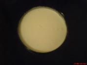 Elsässer Käsekuchen - Rezept