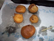 Rezept: Champignons im Backteig (Bierteig) Champignons im Backteig (Bierteig) - Rezept