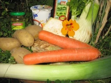 pikante Chicoree-Gemüse Suppe - Rezept - Bild Nr. 2