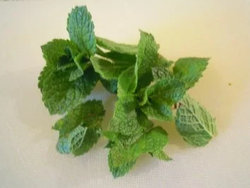 Erbsen-Minze Suppe - Rezept - Bild Nr. 3