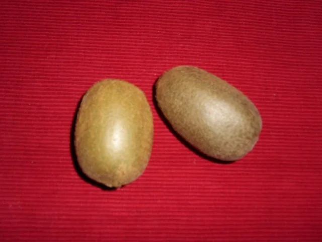 Quarkauflauf - Rezept - Bild Nr. 8