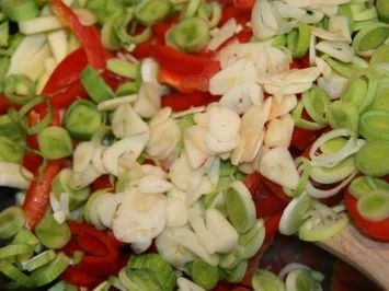 Geflügel: scharf-pikante Hähnchenbrust im Wok - Rezept - Bild Nr. 7