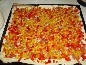 Rezept: Kuchen pikant...Gemüsekuchen Bild Nr. 5 Kuchen pikant...Gemüsekuchen - Rezept - Bild Nr. 5