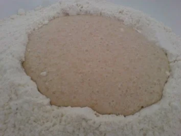 Dinkel-Nuss-Rolle - Rezept - Bild Nr. 6