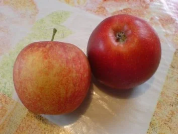 Rezept: Kürbissüppchen mit Cappuccino-Schaum Bild Nr. 3 Kürbissüppchen mit Cappuccino-Schaum - Rezept - Bild Nr. 3