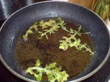 Rezept: Kürbissüppchen mit Cappuccino-Schaum Bild Nr. 16 Kürbissüppchen mit Cappuccino-Schaum - Rezept - Bild Nr. 16