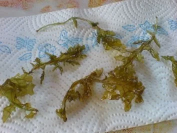 Rezept: Kürbissüppchen mit Cappuccino-Schaum Bild Nr. 18 Kürbissüppchen mit Cappuccino-Schaum - Rezept - Bild Nr. 18