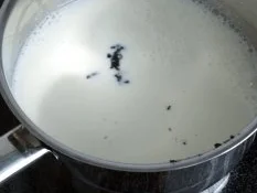 Windbeutel mit Vanillecreme- Füllung - Rezept - Bild Nr. 3