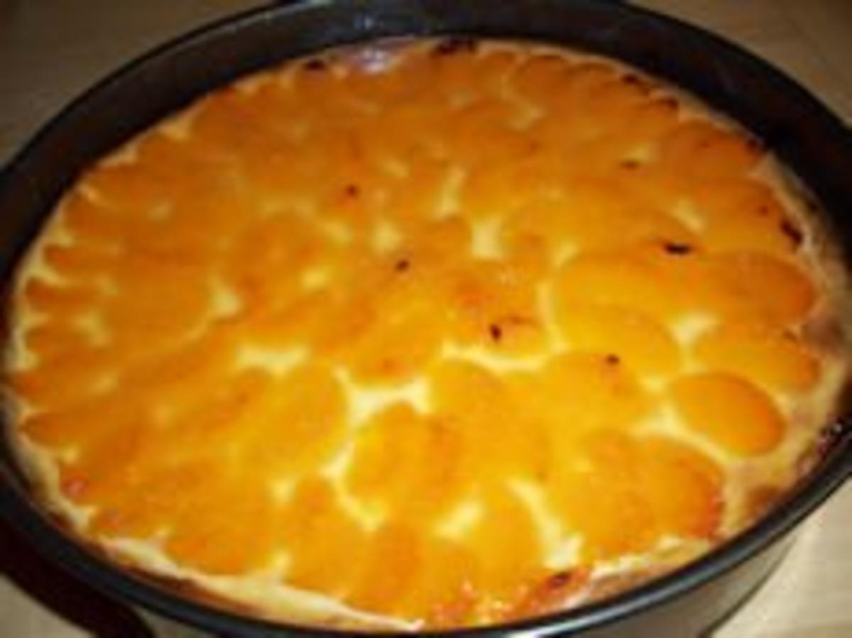 Mandarinen-Schmand-Kuchen - Rezept - Bild Nr. 2