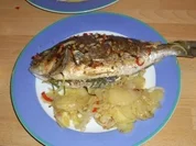 Doraden aus dem Ofen - Rezept