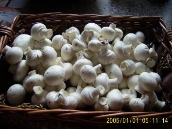 Rezept: Rinderbarten a la Stroganoff Bilder on Bild Nr. 3 Rinderbarten a la Stroganoff Bilder on - Rezept - Bild Nr. 3