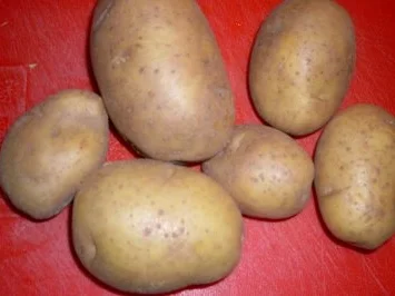 Rezept: Putenleber nach Bauernart (a la paysanne)... Bild Nr. 4 Putenleber nach Bauernart (a la paysanne)... - Rezept - Bild Nr. 4