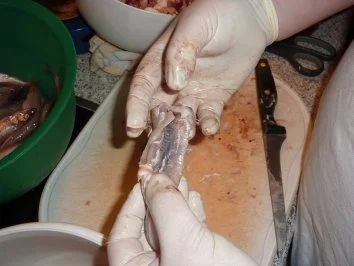 Rezept: Fisch: Stint gebraten und eingelegt Bild Nr. 7 Fisch: Stint gebraten und eingelegt - Rezept - Bild Nr. 7