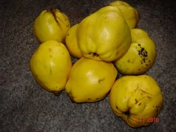 Rezept: Quittengelee Bild Nr. 2 Quittengelee - Rezept - Bild Nr. 2