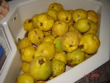 Rezept: Quittengelee Bild Nr. 3 Quittengelee - Rezept - Bild Nr. 3