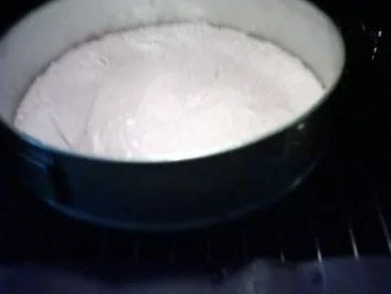 Rezept: Sahnetorte mit Preiselbeeren--- Bild Nr. 7 Sahnetorte mit Preiselbeeren--- - Rezept - Bild Nr. 7