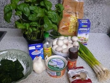 Tagliatelle grün-weiß - Rezept - Bild Nr. 2