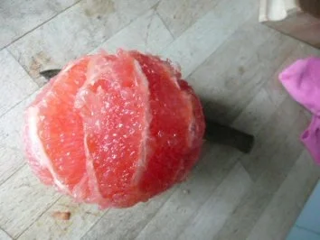 Rezept: GLASFOOD 12:Algensalat mit Krebsfleisch.... Bild Nr. 5 GLASFOOD 12:Algensalat mit Krebsfleisch.... - Rezept - Bild Nr. 5