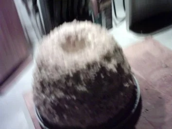 Rezept: Frankfurter Kranz aus Gugelhupfform Bild Nr. 8 Frankfurter Kranz aus Gugelhupfform - Rezept - Bild Nr. 8