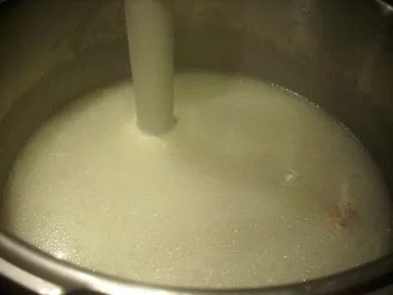 Teufelchens Pangasius in Seelachs-Knobauch-Ingwer-Sauce - Rezept - Bild Nr. 5