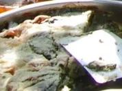 Rezept: Spinat - Pita (genaue Beschreibung mit Bild) Spinat - Pita (genaue Beschreibung mit Bild) - Rezept