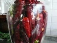 BRUSCETTA-Tomaten - Rezept - Bild Nr. 3