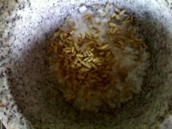 Rezept: Fenchel-Salz Bild Nr. 2 Fenchel-Salz - Rezept - Bild Nr. 2