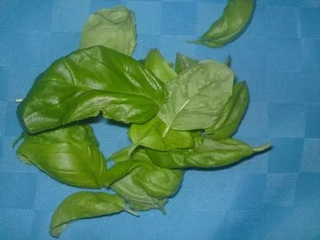 Rezept: Spaghetti- Salat Bild Nr. 2 Spaghetti- Salat - Rezept - Bild Nr. 2