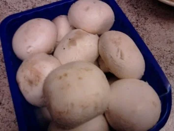 Schweinefilet im Speckmantel - Rezept - Bild Nr. 6