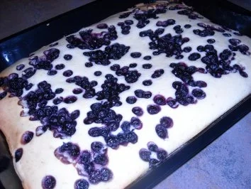 Heidelbeer-Joghurt-Kuchen - Rezept - Bild Nr. 4