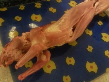 Kaninchen - Rezept - Bild Nr. 4