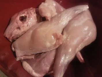 Kaninchen - Rezept - Bild Nr. 6