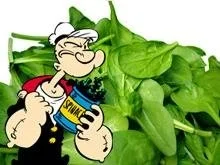 Popeye's Lieblingskuchen ;-)) - Rezept - Bild Nr. 11