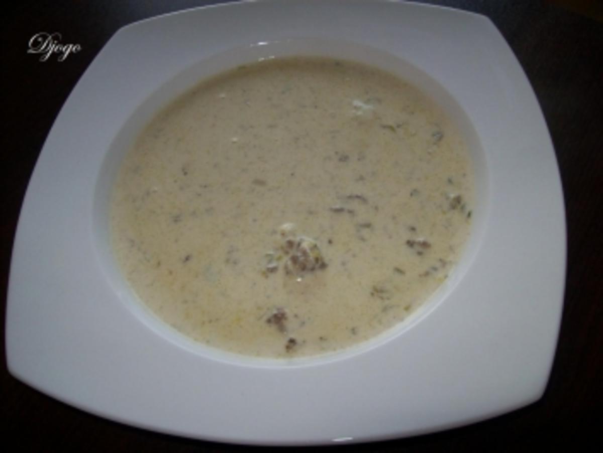 Käsesuppe mit Lauch/Porree und Hackfleisch - Rezept