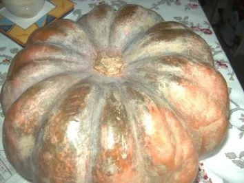 Rezept: Kürbissuppe nach Eigenkreation gekocht und lecker geworden Bild Nr. 2 Kürbissuppe nach Eigenkreation gekocht und lecker geworden - Rezept - Bild Nr. 2