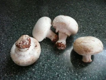 Rezept: BRUSCETTA-Thunfisch-Tatar-Tomaten Bild Nr. 5 BRUSCETTA-Thunfisch-Tatar-Tomaten - Rezept - Bild Nr. 5