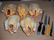 Fleisch: Was macht man alles aus einem Huhn - Rezept