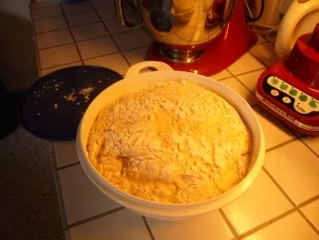 Pizzateig gerührt - Rezept