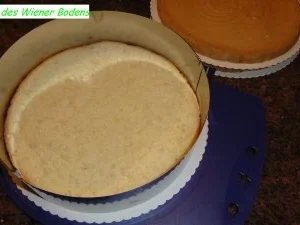 Biskuit:  JOGHURT - KÄSE- SAHNE - Rezept - Bild Nr. 3