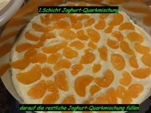 Biskuit:  JOGHURT - KÄSE- SAHNE - Rezept - Bild Nr. 6