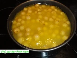 KuchenZwerg : STACHELBEER-TORTE - Rezept - Bild Nr. 7