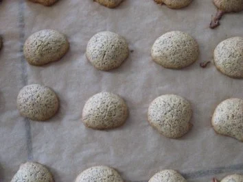 Weihnachtsplätzchen- Mohngebäck - Rezept - Bild Nr. 4