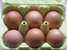 GETRÄNKE: Eiergetränk - Rezept