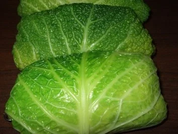 Wirsingrouladen Vegetaria - Rezept - Bild Nr. 4