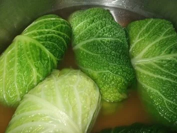 Wirsingrouladen Vegetaria - Rezept - Bild Nr. 3