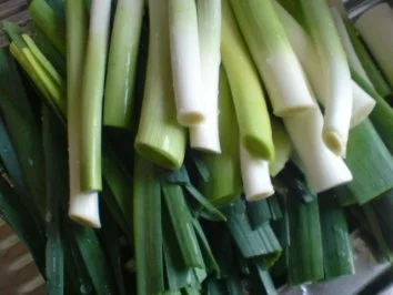 Porree-Hühnchen-Suppe - Rezept - Bild Nr. 5