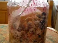 Schlehen Likör die 2. - Rezept